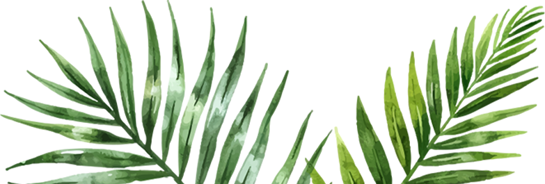 나뭇잎