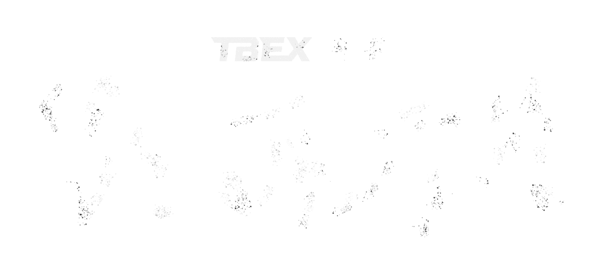 TBEX PPF 판테라